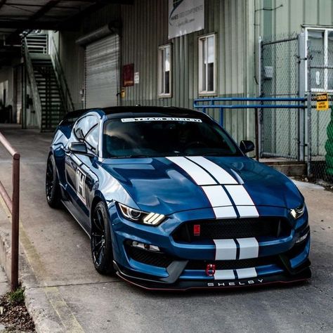 S550 Mustang, Ford Mustang Car, Ford Mustang Shelby Gt500, 2015 Mustang, Ford Lincoln Mercury, Ford Shelby, Shelby Gt500, Ford Mustang Shelby, Mustang Cars