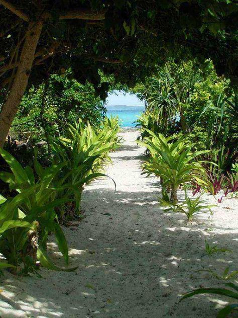 Mystery Island Vanuatu, Beach Path, Island 2, Vanuatu, South Pacific, Tropical Islands, White Sand, Beach Life, Places To Go