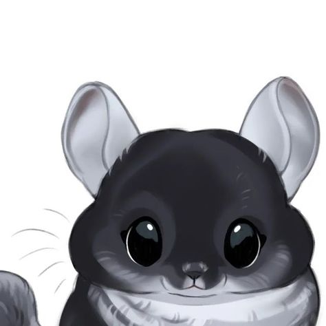 Chinchilla Drawing, Cute Art Ideas, Animal Oc, Cute Chinchilla, Kisses And Hugs, Things To Sketch, Stickers Whatsapp, Kawaii Drawing, Pets Drawing