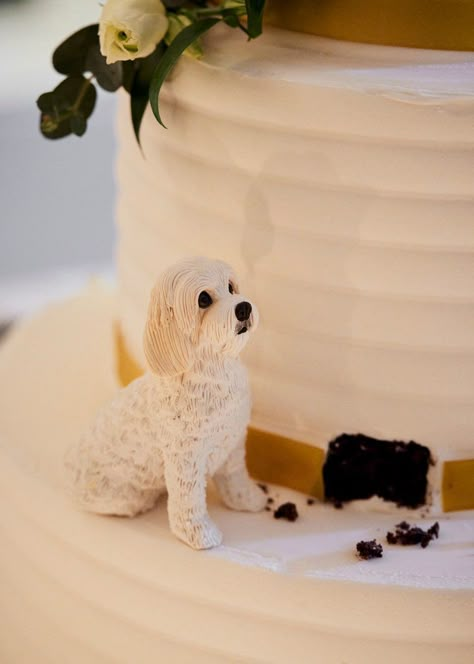 Dog Eating Wedding Cake Figurine, Wedding Cake Dog Figurine, Dog Peeking Out Of Wedding Cake, Dog Biting Wedding Cake, Wedding With Animals, Wedding Flower Dog, Peek A Boo Wedding Cake, Dog Wedding Topper, Small Wedding Cake With Dog