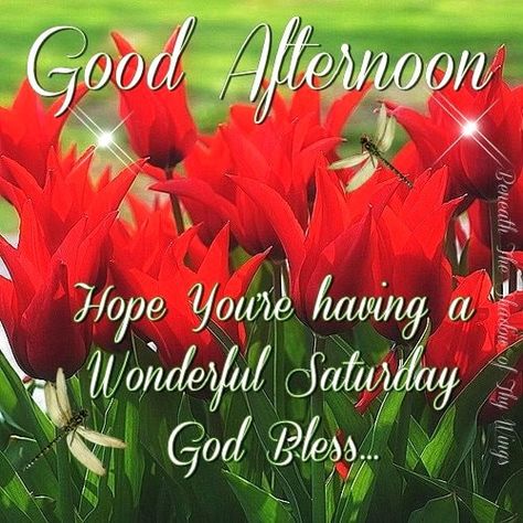 Afternoon Pictures, Saturday Greetings, Saturday Images, Whatsapp Pictures, Good Saturday, Photos For Facebook, Greetings Quotes, What Day Is It, Blessed Quotes