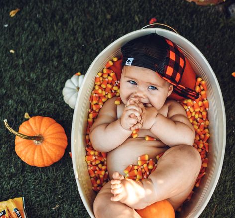 Fall Photos 3 Month Old, 2 Month Baby Picture Ideas September, October 6 Month Baby Pictures, October 1 Month Baby Pictures, Fall Baby Photoshoot 6 Months, October Baby Milestone Pictures, Baby Candy Corn Picture, Candy Corn Photoshoot Baby, Fall Baby Milestone Pictures