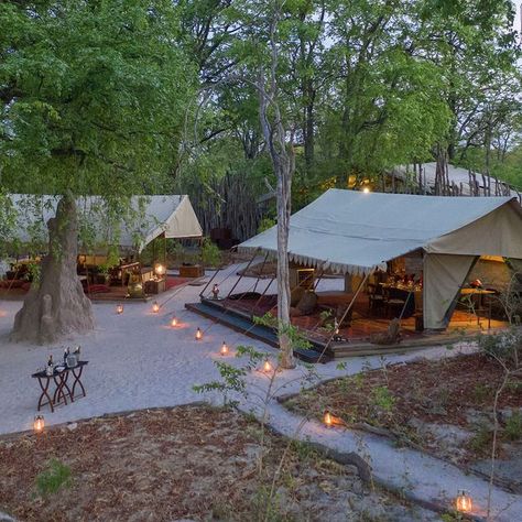 Bali Glamping, Glamping Aesthetic, Forest Pavilion, Camping Cafe, Beach Glamping, Unique Glamping, Tents Camping Glamping, Lodge Aesthetic, Forest Cafe