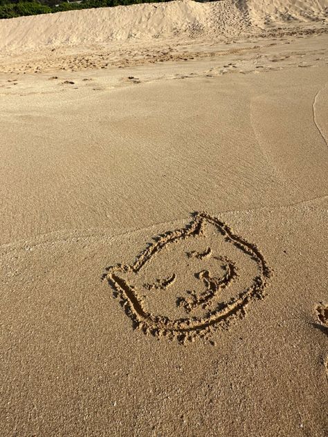 #sand #beach #beachaesthetic #sandart #cat #drawing #sanddrawing #summer #ocean Beach Sand Drawing, Sand Drawing, Hansel Gretel, Summer Ocean, Sand Art, Cat Aesthetic, Beach Aesthetic, Cat Drawing, Beach Sand