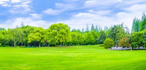 Parks mountains reflection mountain deco... | Free Photo #Freepik #freephoto #background #abstract-background #abstract #water Montana Decor, Mountain Background, Hubble Images, Mountain Decor, Scenery Background, Background Images Wallpapers, School Garden, Landscape Decor, Green Landscape