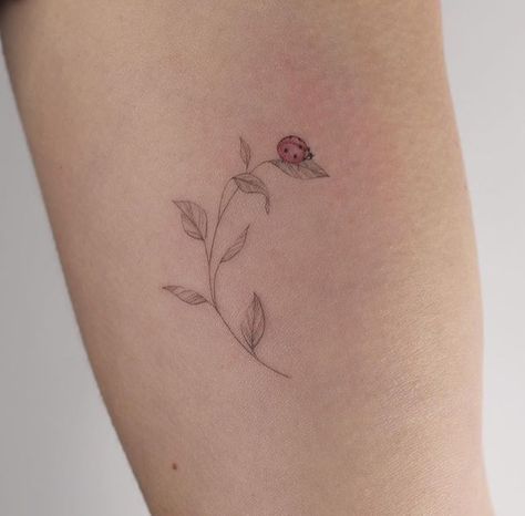 Simplistic Ladybug Tattoo, Ladybug Tattoo Ideas Small, Small Ladybug Tattoo Fine Line, Ladybugs Tattoo Ideas, Tattoos With Ladybugs, Ladybug On Lavender Tattoo, Ladybug Tattoo Small Minimalist, 3 Ladybug Tattoo, Three Ladybugs Tattoo