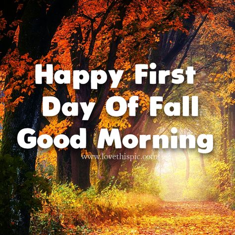 1st Day Of Autumn, Country Morning, Grandparents Quotes, First Day Of Autumn, Autumn Woods, My Messages, Fall Quotes, Good Morning Happy Sunday, First Day Of Fall