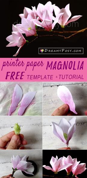 Paper Magnolia tutorial with free template, made from printer paper #paperflower #flowertutorial Flower Templates Printable Free Pattern, Paper Magnolia, Paper Flower Diy, Crepe Flowers, Diy Fleur, Săpunuri Handmade, Paper Flower Templates, Make Paper Flowers, Made Flowers