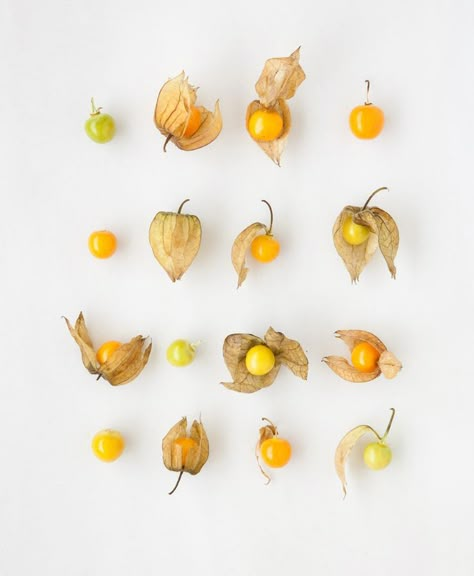 Pretty Fruit, Cape Gooseberry, Fruit Photography, Food Photography Inspiration, Big Design, Prop Styling, Food Photography Styling, Photography Styling, Fruit And Veg