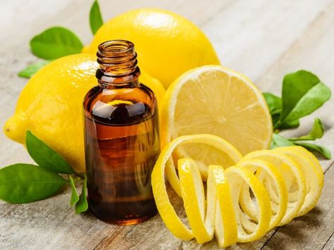 The health benefits of lemon oil can be attributed to its stimulating, calming, carminative, anti-infection, astringent, detoxifying, antiseptic, disinfectant, sleep inducing, and antifungal properties. These benefits of lemon oil include its ability to treat stress disorders, fever, infections, asthma, over weight, insomnia, skin disorders, hair disorders, stomach problems and tiredness. Jus Lemon, Oils For Sinus, Tick Bite, Lemon Health Benefits, Essential Oils For Colds, Lemon Benefits, Essential Oils For Skin, Sinus Infection, Lemon Oil