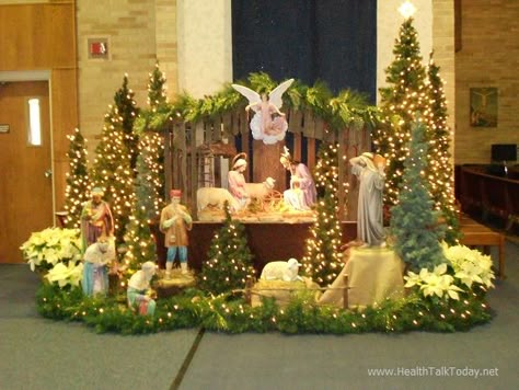 St Albert the Great Nativity. North Royalton, Ohio  #Christmas   ➤ Image credit: www.HealthTalkToday.net Pesebres Navidad Ideas Grandes, Christmas Crib Set, St Albert The Great, Advent Church Decorations, Christmas Cave, Christmas Nativity Images, Ohio Christmas, Christmas Crib Ideas, Diy Christmas Deco