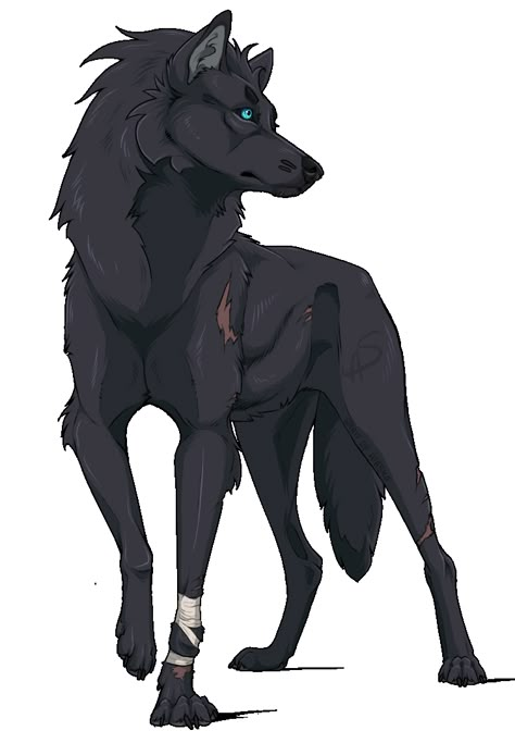 Wolf Character Art, Shimizu Reiko, Drawing Of A Wolf, Wolf Anime, Wolf Poses, Anime Wolf Drawing, Dog Design Art, Wolf Sketch, Canine Drawing