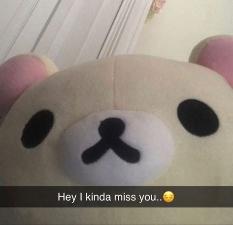 Kinda Miss You, Rilakkuma Snapchat, Rilakkuma Plushie, Kawaii Plushies, Cute Messages, Funny Profile Pictures, Cute Stuffed Animals, Cute Memes, Wholesome Memes