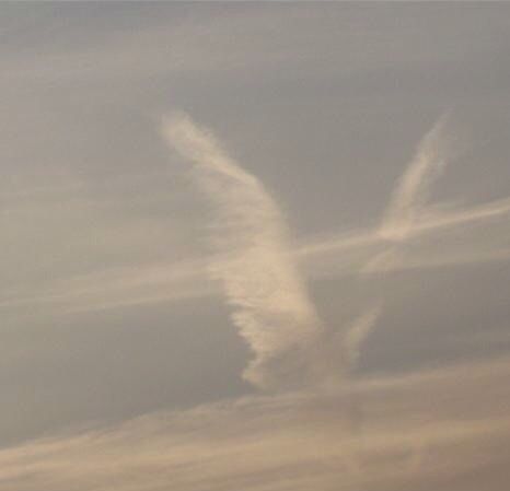 The Sky, Angel