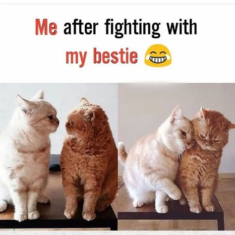 Bestie Jokes Funny, Bestie Memes Funny, Funny Besties Quotes, Bestie Funny Quotes, Besties Quotes Funny, Bff Memes, Joy Core, Best Friend Meme, Friend Meme