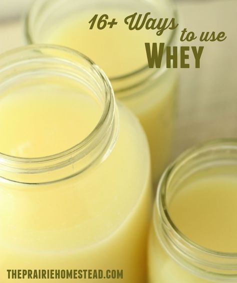 16+ amazing uses for whey-- don't ever pour your whey down the drain, it's valuable stuff! Uses For Whey, Whey Recipes, The Prairie Homestead, Cheese Recipes Homemade, Cheese Making Recipes, Prairie Homestead, Cooking Beets, Goat Milk Recipes, Pudding Chia