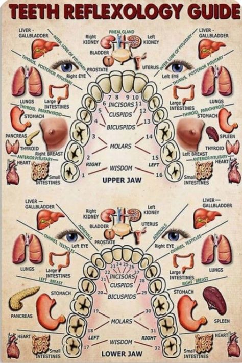 Reflexology, Living Room Office, Room Office, Bedroom Living Room, Art Poster, Poster Wall, Wall Painting, Living Room, Bedroom