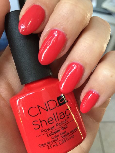 CND Shellac Lobster Roll + Brisa lite sculpting gel Authentic Nails, Cnd Shellac Colors, Cnd Nail Polish, Nail Stiletto, Cnd Colours, Cnd Shellac Nails, Chestnut Brown Hair, Opi Gel Nails, Shellac Colors