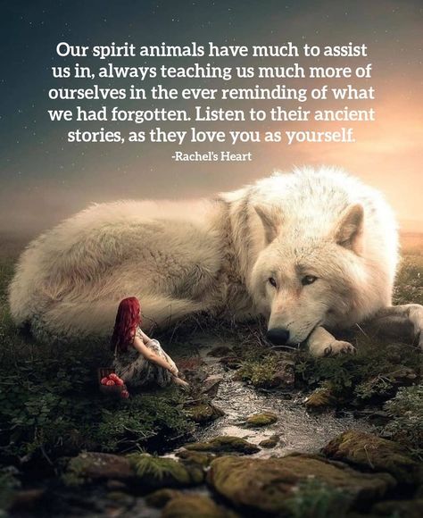 Native American Quotes Wisdom, Deep Feelings Quotes, Spirit Animal Meaning, Pet Quotes, Spiritual Animal, Indian Quotes, Native American Wisdom, Animal Spirit Guides, Native American Quotes