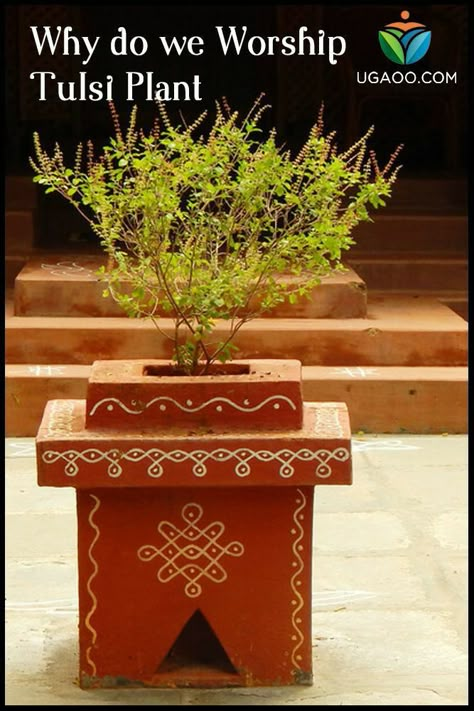 Tulasi Pot Designs Painting, Terasse Ideas, Tulasi Plant, Tulsi Pot, Tulsi Vivah, Tulsi Plant, Home Decor Items Online, Pooja Room Door Design, Meteor Garden 2018