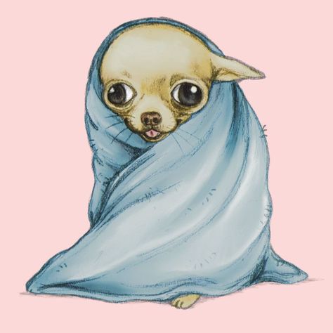 Chihuahua Drawing, Psy Chihuahua, Wrapped In A Blanket, Chihuahua Art, Chihuahua Mom, Cute Chihuahua, Chihuahua Love, Chihuahua Puppies, Chihuahua Dogs