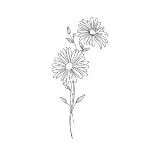 Gerbera Daisy Tattoo, Daisy Flower Drawing, Aster Tattoo, Aster Flower Tattoos, Daisy Tattoo Designs, Rose And Butterfly Tattoo, Grace Tattoos, Unique Small Tattoo, Garden Tattoos