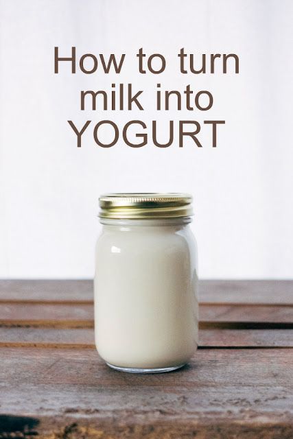 Home Made Yogurt Recipes How To Make, How To Make Yogurt At Home, Home Made Yogurt Recipes, How To Make Yogurt, Boat Recipes, Goat Milk Yogurt, Homemade Yogurt Recipes, Almond Cow, Diy Yogurt