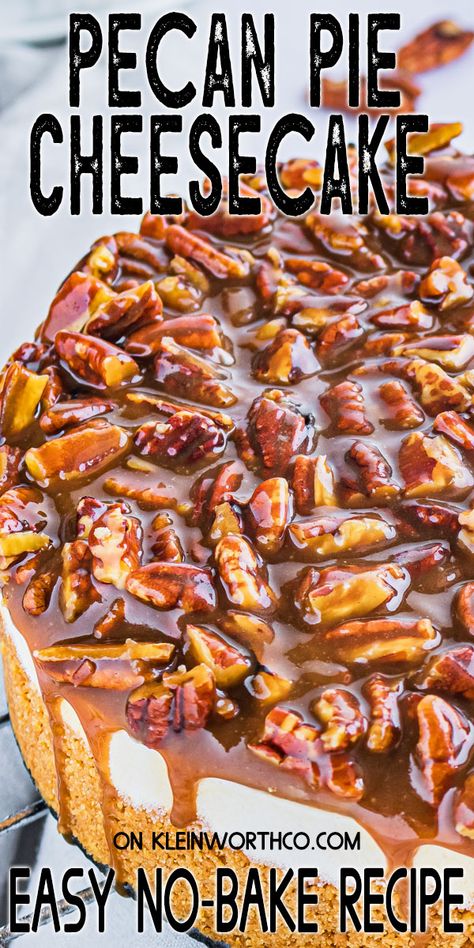 This easy to make No-Bake Pecan Pie Cheesecake is rich and decadent making it the perfect dessert for any holiday or occasion. Pecan Cheesecake Recipes, Pecan Pie Cheesecake Recipe, Homemade Caramel Recipes, Pecan Desserts, Pecan Pie Cheesecake, Pecan Cheesecake, Pie Cheesecake, Pumpkin Cake Recipes, Baked Cheesecake Recipe