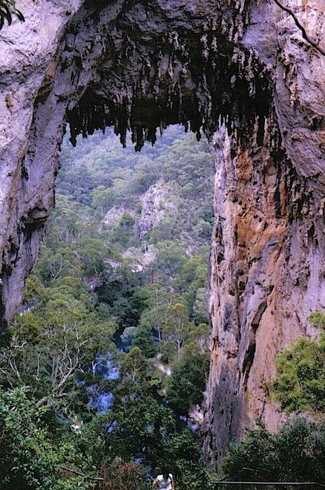 Jenolan Caves, Blue Mountains, http://www.bloggerme.com.au/states/mia Australia Jenolan Caves, Blue Mountains Australia, Blue Mountains, Sense Of Place, British Columbia Canada, Island Home, Blue Mountain, Australia Travel, Amazing Places