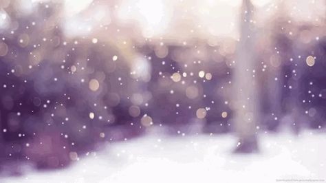 Snow Falling Gif, Falling Gif, Bokeh Wallpaper, Anime Snow, Snow Gif, Iphone Wallpaper Blur, Desktop Wallpaper Macbook, Gif Background, Zero Wallpaper