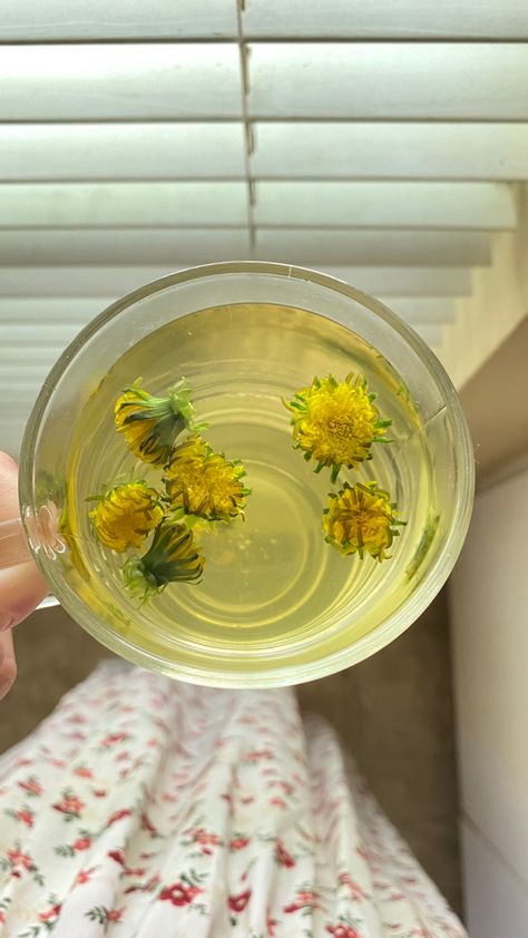 Dandelion Tea Aesthetic, Aesthetic Herbal Tea, Herbal Teas Aesthetic, Herb Tea Aesthetic, Dandilion Tea, Herbal Tea Aesthetic, Herbalism Aesthetic, Tiktok Hooks, Herb Teas