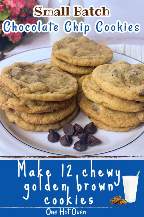 Small Batch Brown Butter Chocolate Chip Cookies, Best Small Batch Chocolate Chip Cookies, Small Batch Chewy Chocolate Chip Cookies, Small Cookie Batch, Small Batch Of Chocolate Chip Cookies, Easy Small Batch Desserts, Chocolate Chip Cookies Small Batch, Small Batch Desserts, Small Batch Chocolate Chip Cookies