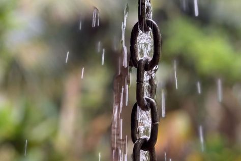 Wicking Beds: How To Make A Wicking Garden Bed | Better Homes and Gardens Rock Water Feature, Rain Chain Installation, Palm Springs Garden, Wicking Garden Bed, Metal Arbor, Gutter Garden, Rock Fountain, Raised Flower Beds, Rain Chain