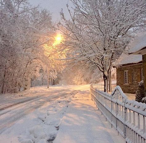 Live MTL on Instagram: “Snow on Mount Royal! / la neige sur le Mont Royal! 🙂❄️🌨 photo => @elenoire71 #mtl #montreal #livemontreal” Snow Pictures, Nature Architecture, Winter's Tale, Winter Love, Winter Magic, Winter Scenery, Winter Is Here, Winter Beauty, Snow Scenes