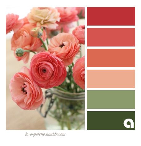 Colors, Palettes & Hues Coral Colour Palette, Color Schemes Colour Palettes, Design Seeds, Color Balance, Color Palette Design, Color Harmony, Floral Color, Wedding Business, Color Inspo