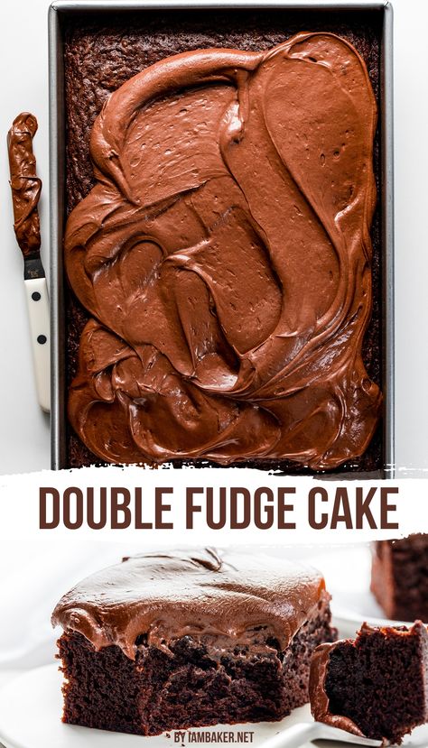 A double fudge cake, mostly frosted, with a spatula on the side.  A piece of cake with a bite taken out sits on a white plate. Double Fudge Cake, Double Fudge Chocolate Cake, Double Chocolate Cake Recipe, The Best Chocolate Frosting, Best Chocolate Frosting, Chocolate Lovers Cake, Chocolate Desserts Cake, Double Chocolate Cake, Desserts Ideas