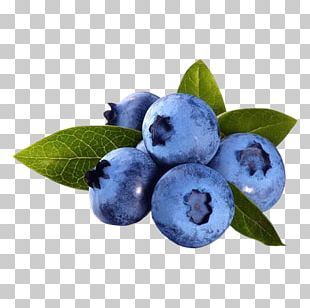 Blueberries For Sal, Psd Texture, Birthday Cards For Girlfriend, Photo Elements, Ads Creative Advertising Ideas, Fruits Photos, Creative Advertising Design, Clipart Free, Cute Frames