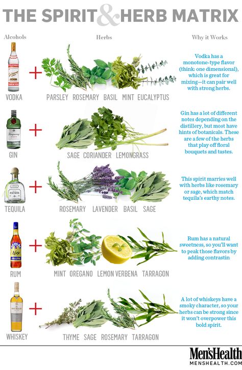 Which herbs work best to infuse which spirits? Here's some helpful suggestions. Fruit And Herb Cocktails, Cocktail Garden Plants, Cocktails With Herbs, Herb Cocktail Recipes, Cocktail Herb Garden, Herb Infographic, Earthy Cocktails, Herb Drinks, Herb Cocktails