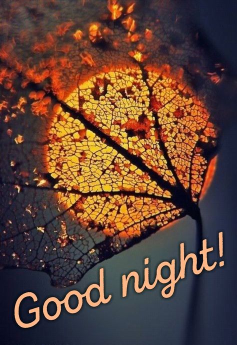 November Good Night, Good Night Fall Images, Autumn Good Night, Vaseline Eyebrows, Good Night Qoutes, Good Night Cards, Photos Of Good Night, New Good Night Images, Good Night Funny