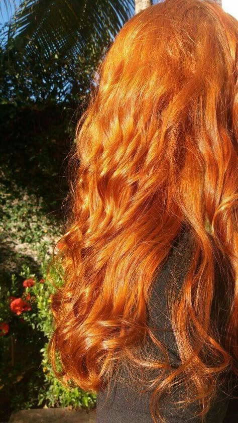 Red Haired Angel, Long Ginger Hair, Ginger Orange Hair, Red Hair Aesthetic, Flame Hair, Copper Brown Hair, Ginger Hair Color, Hair Aesthetic, Orange Hair