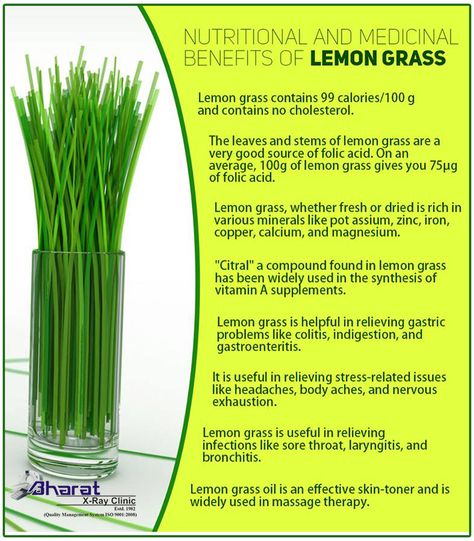 Nutritional and medicinal benefits of Lemon Grass ‪#‎lemongrass‬ ‪#‎healthbenefits‬ ‪#‎food‬ ‪#‎bharatxrayclinic‬ Lemon Grass Benefits, Lemongrass Benefits, Benefits Of Lemon, Lemon Benefits, Folic Acid, Lemon Grass, Healthy Tips, Celery, Healthy Life