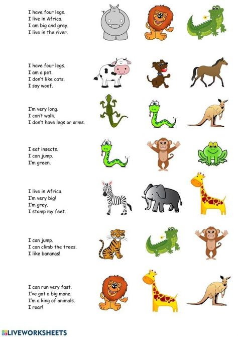 Animal Riddles, Teach English To Kids, English Stories For Kids, Grammar For Kids, English Activities For Kids, Animal Worksheets, English Exercises, Learning English For Kids, English Games