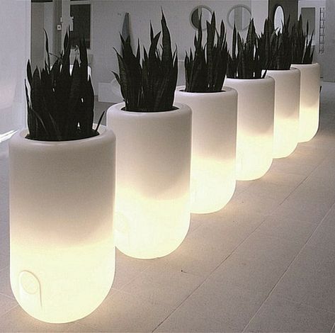 17 Illuminated Planters: How To Make A Glowing Romantic Backyard Romantic Backyard, Small Solar Panels, Lampe Decoration, White Planters, Round Decor, Backyard Patio Designs, Outdoor Planters, Backyard Oasis, Exterior Lighting