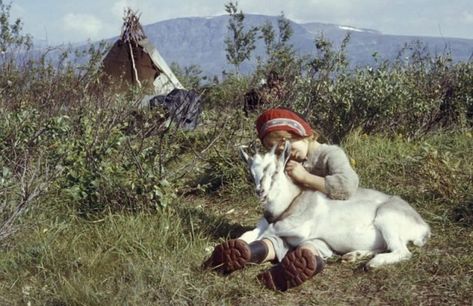 Norway Girls, White Reindeer, Photo Postcards, Samara, Top Of The World, Vintage Cat, Scandinavia, Radios, Art History