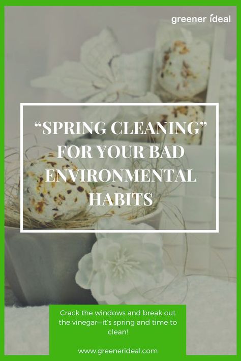 Crack the windows and break out the vinegar—it’s spring and time to clean! Besides brushing up mothballs and sweeping away spiderwebs, we can also look at the top 5 ways we pollute the Earth, and choose to “clean up” our actions by reforming a heavy environmental impact. #spring #springcleaning #cleaning #ecofriendly #eco #green #gogreen #nature #environment Sustainability Projects, Nature Environment, Book Exchange, Energy Efficient Appliances, Eco Green, Spring Activities, Eco Friendly Living, How To Eat Less, Green Energy