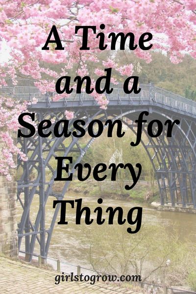 Lessons to remember as your season of life changes. Seasons Of Life Quotes, Senior In High School, Spiritual Garden, Life Quotes Relationships, Friends Change, Ladies Tea, Season Quotes, Faith Blogs, Womens Retreat