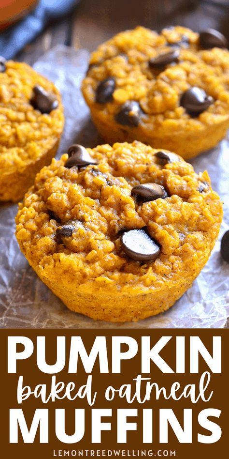 Healthy Pumpkin Chocolate Chip Muffins, Recipes Ramen, Chocolate Chip Baked Oatmeal, Baked Oatmeal Muffins, Pumpkin Oatmeal Muffins, Nashta Recipe, Recipes Korean, Oatmeal Chocolate Chip Muffins, Biryani Recipes