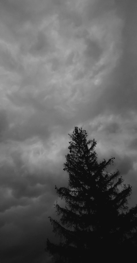 Black Authentic Wallpaper, Black And White Lightning, Storm Wallpaper, Lightning Storms, Android Wallpaper Dark, Wallpaper Dark, Lightning Storm, Cloud Wallpaper, Storm Clouds