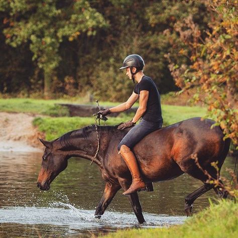 Bareback Riding, Horse Art Drawing, Show Jumping Horses, Equestrian Aesthetic, Horse And Human, Horse Riding Equestrian, Horse Anatomy, Horse Camp, English Horse