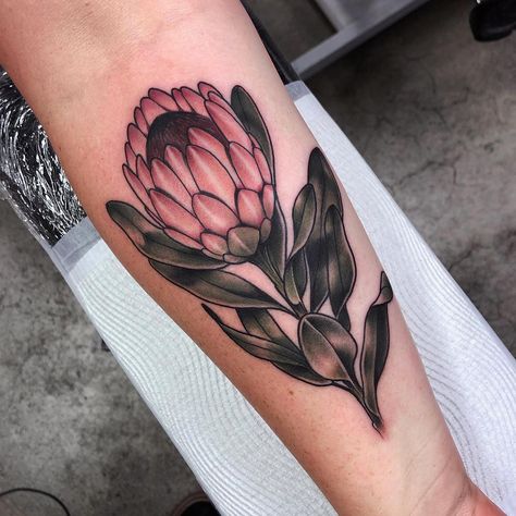 Alexander Masom on Instagram: “Protea clipping for Lee today.. Thanks again ma’am!  @skinkstattoosnz  _____________________________________________  #taot…” Protea Tattoo, Love Tattoos, Traditional Tattoo, Tattoos And Piercings, Flower Tattoo, Piercings, Alexander, Tattoos, On Instagram